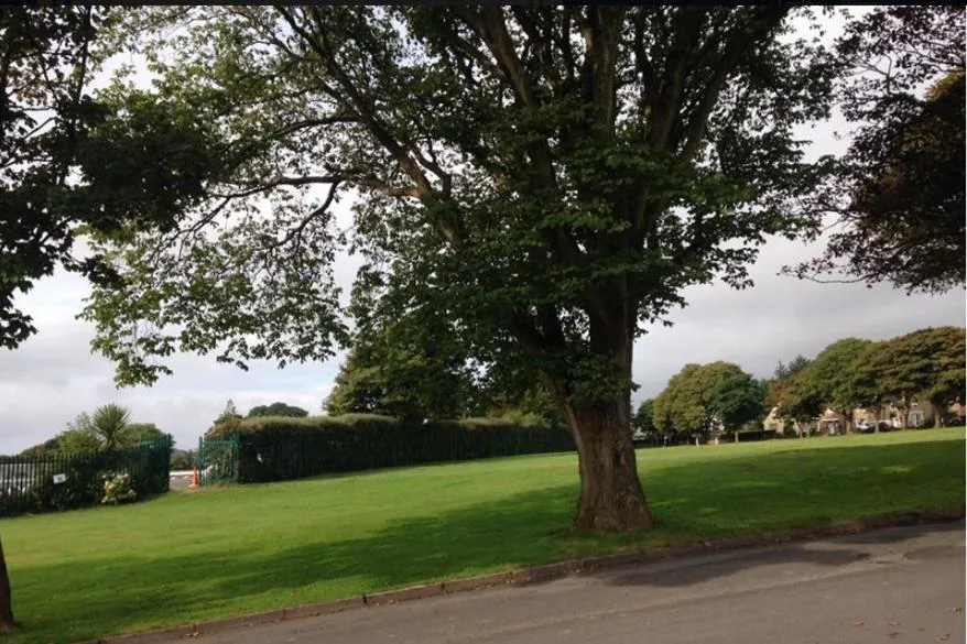 17 The Park - Photo 4