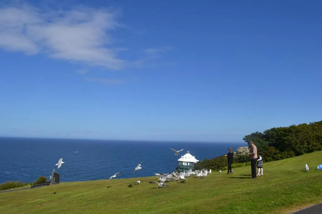 Adelphi Guest House - Photo 2