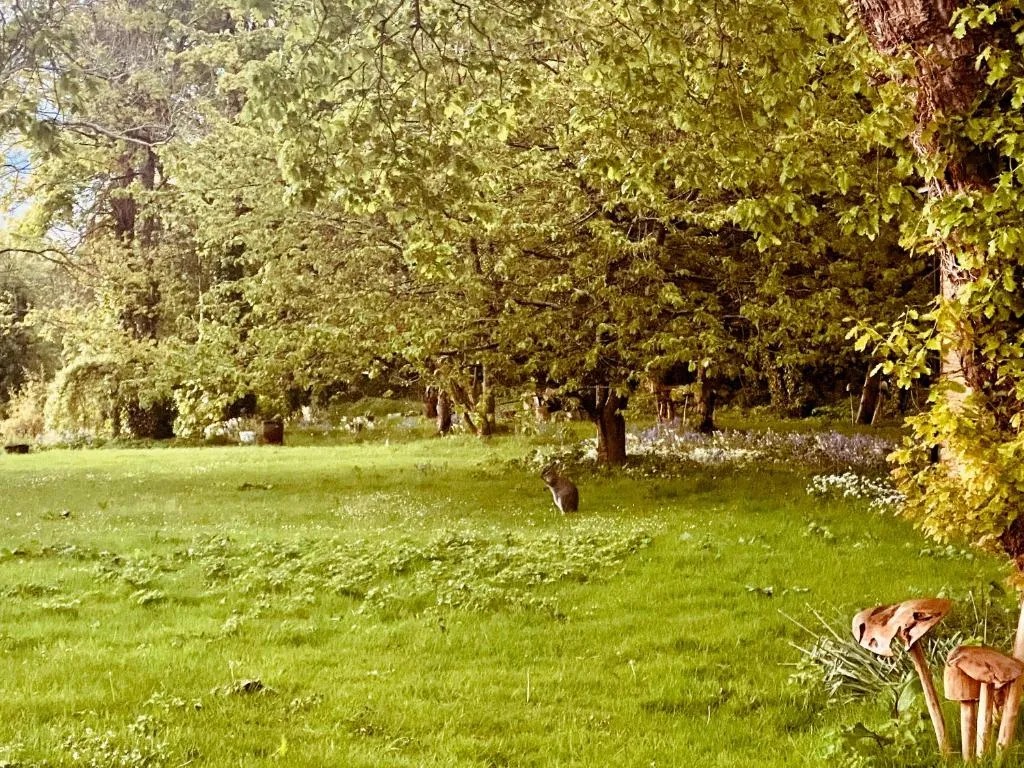 Bumblebee Cottage-Uk39918 - Photo 5