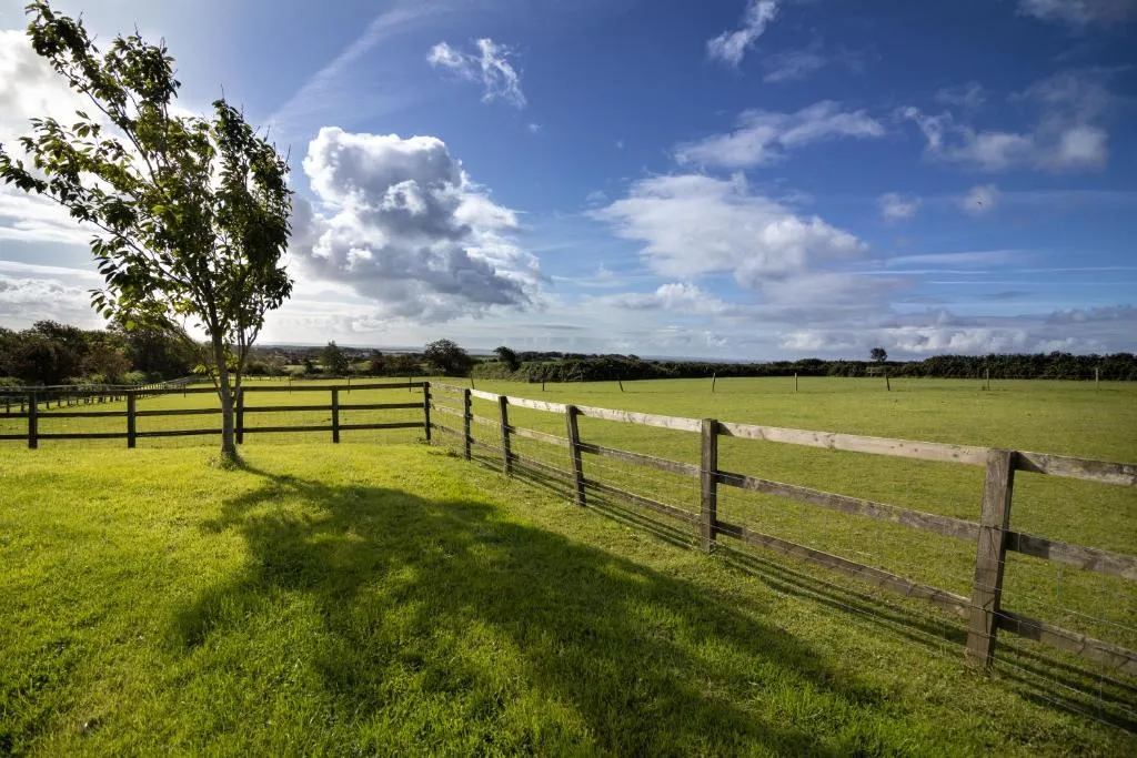 Grenaby Estates - Photo 3