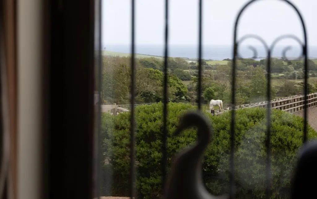 Grenaby Estates - Photo 4