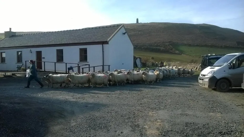 Knockaloe Beg Farm